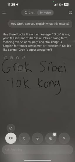 Voice mode in the Grok app explaining what is seen in the camera